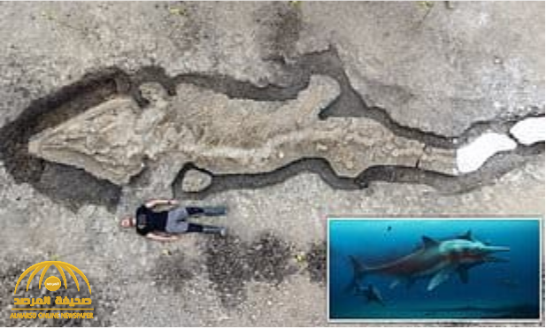شاهد.. العثور على هيكل عظمي لحيوان بحري ضخم عاش قبل 180 مليون سنة