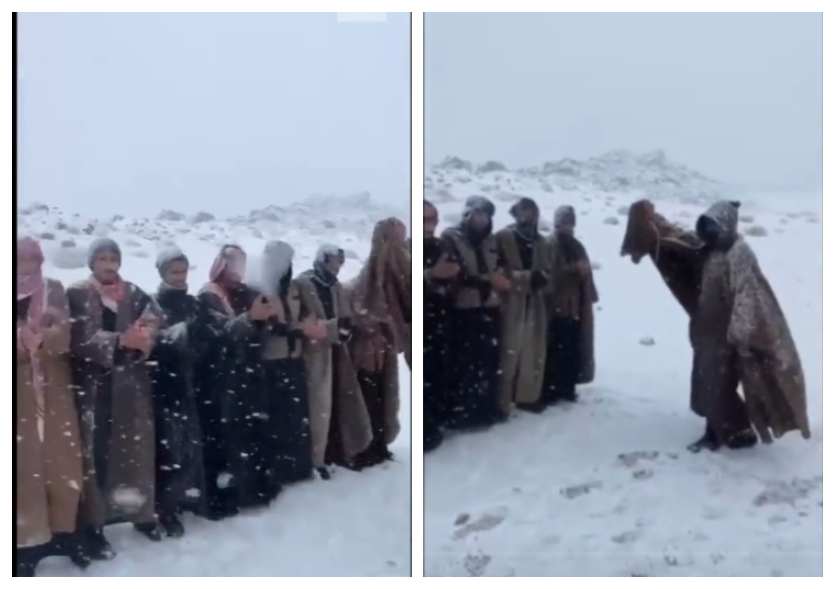 شاهد.. متنزهون يؤدون رقصة الدحة الشهيرة في جبل اللوز بتبوك أثناء تساقط الثلوج