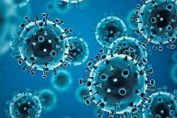 "الصحة العالمية" تزف خبراً ساراً بشأن المرحلة الصعبة من فيروس كورونا -فيديو