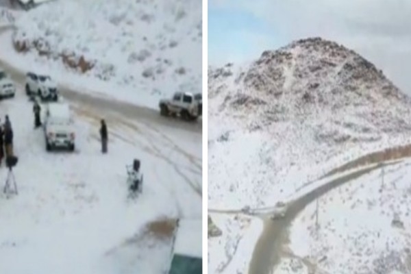 شاهد: فيديو يرصد مشاهد لتساقط الثلوج على جبل اللوز في تبوك