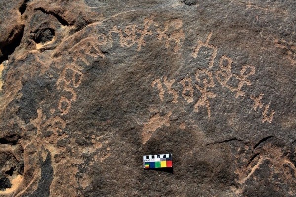 تعود لأكثر من 2600 عام.. شاهد: العثور على صخرة أثرية تحمل نقوشاً ثمودية في تيماء و3 مراحل لقراءتها
